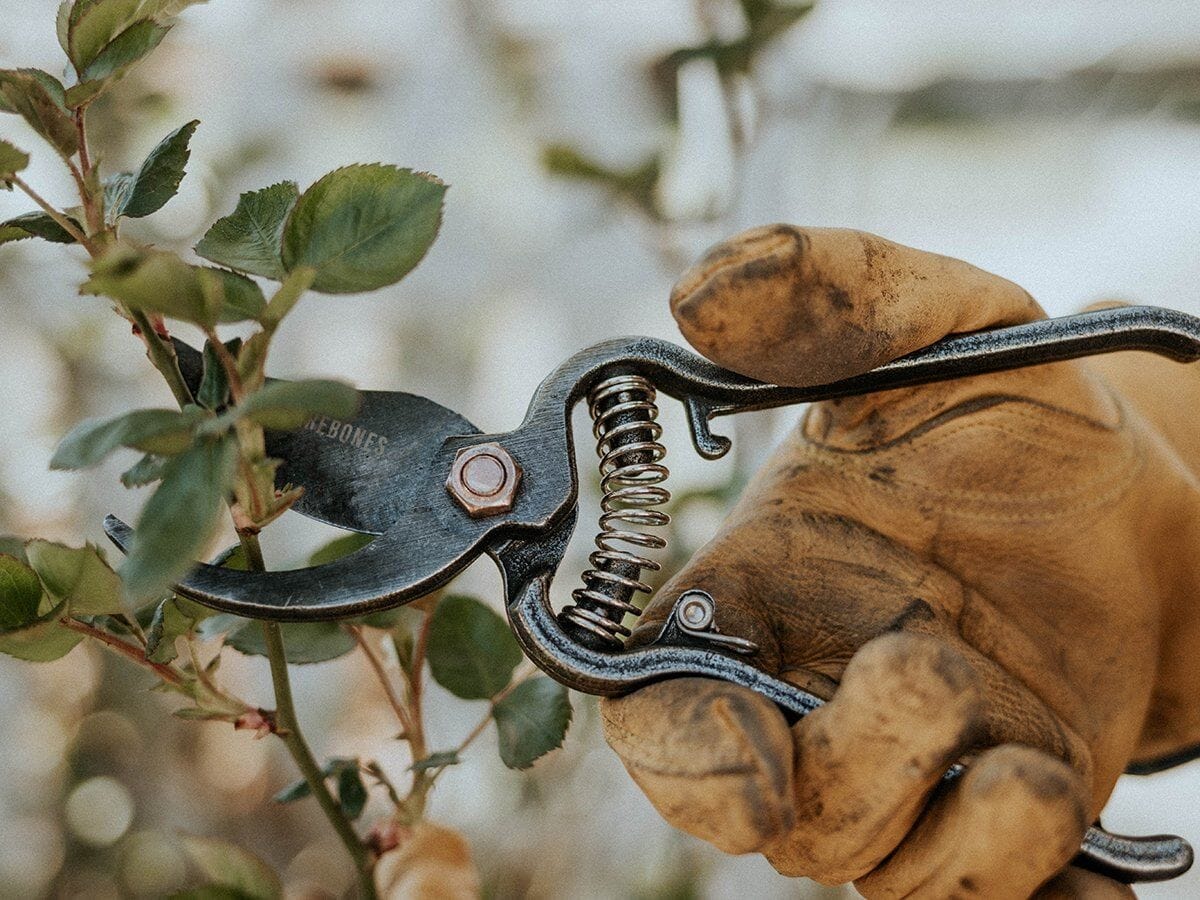 Safety and best practices for pruning shears use