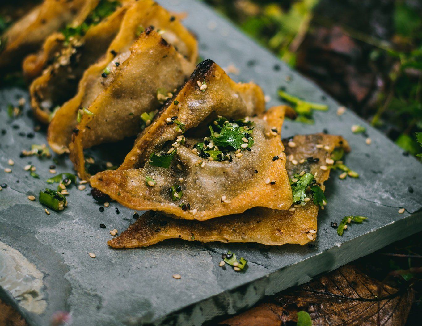 Spicy Vegan Mushroom & Cream Cheese Wontons Barebones