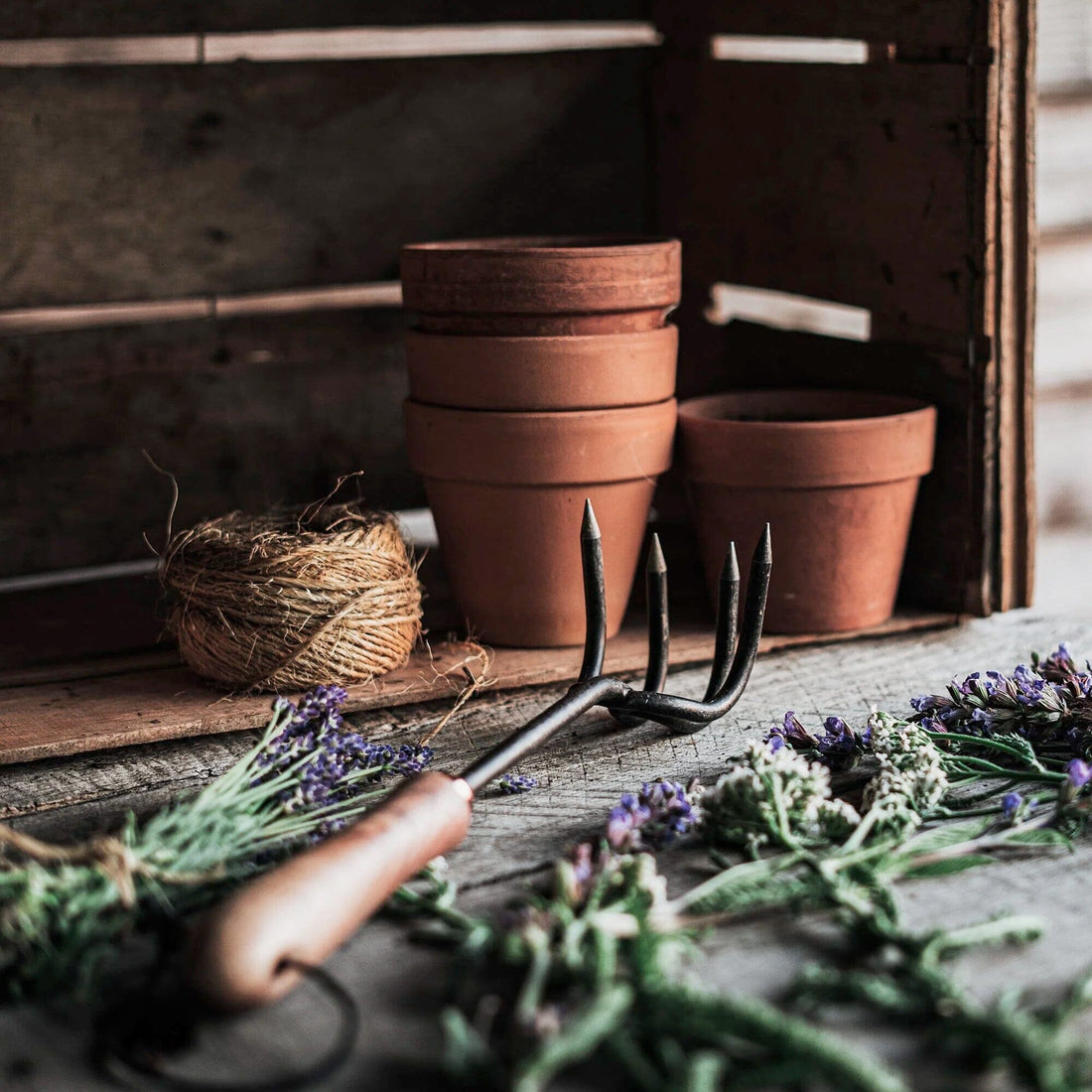 Backyard Gardener Set