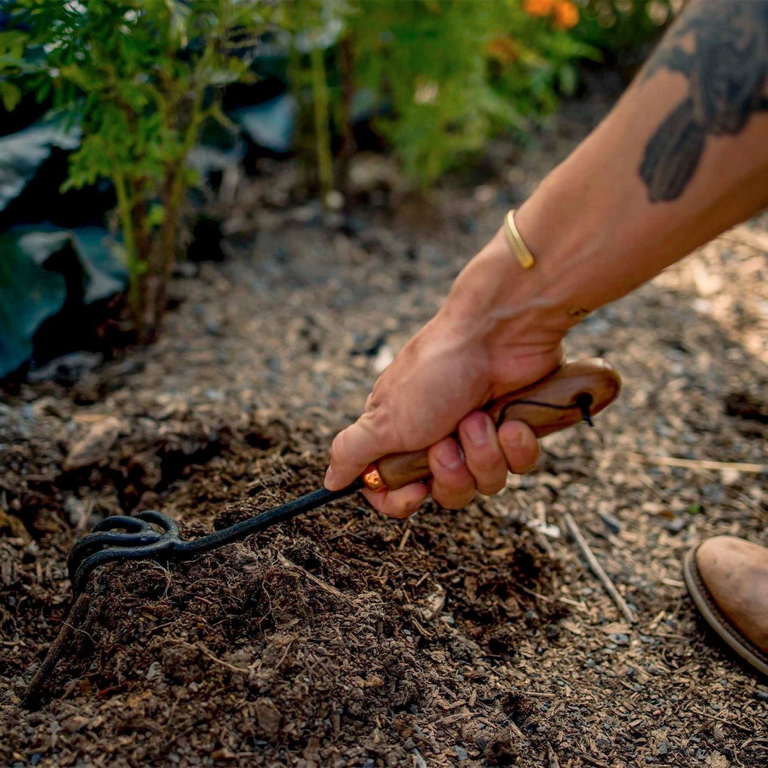 Backyard Gardener Set