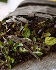 Foraging Bag Bundle