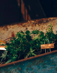 Copper Plant Markers