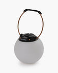 Multi-Colored Globe Light