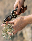Pruner