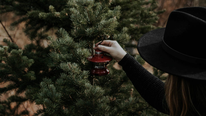 Selecting a Sustainable Christmas Tree