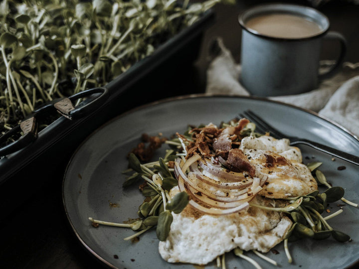 Skillet Fried Eggs over Microgreens with Bacon Crumbles