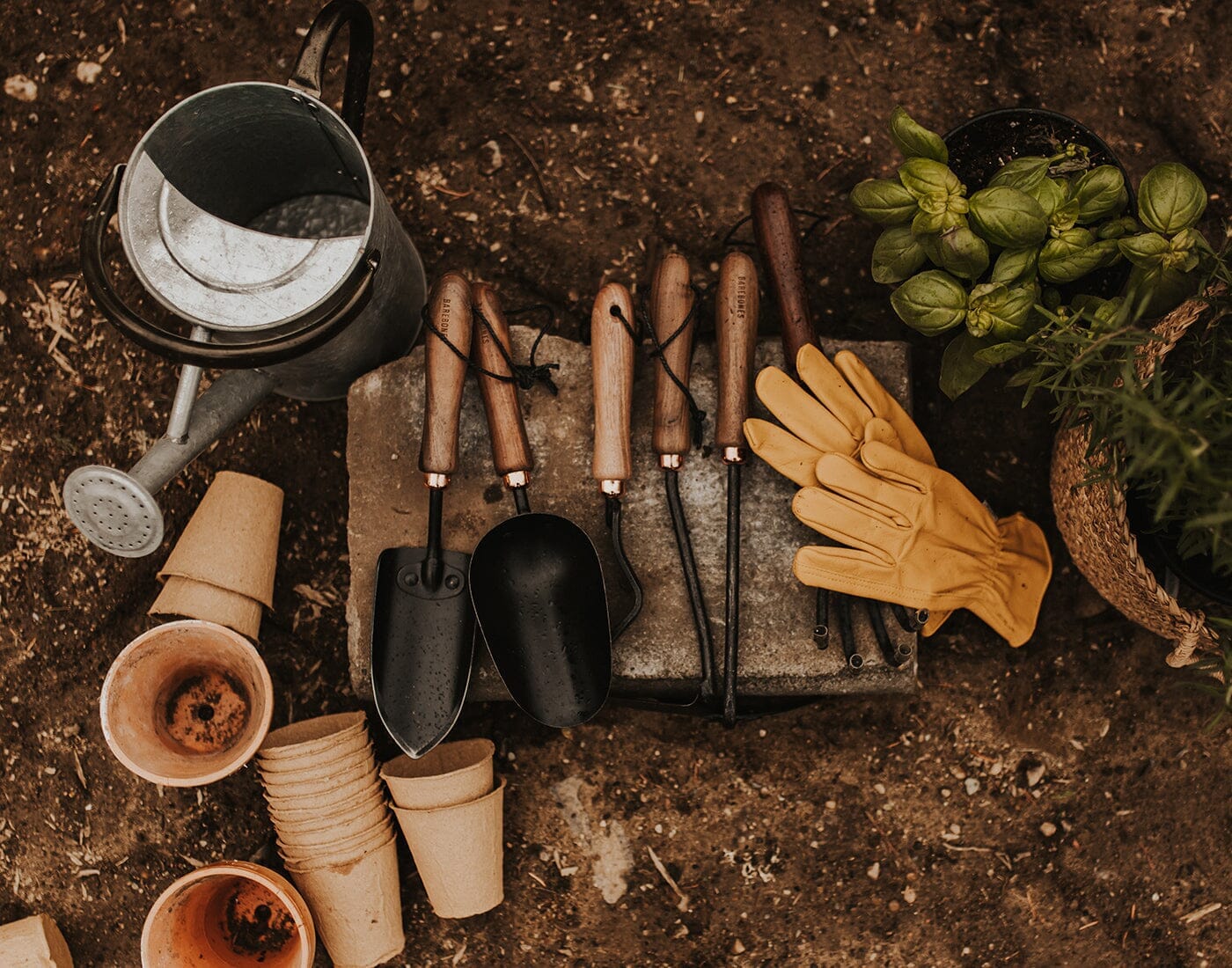 Outlet Store | Barebones