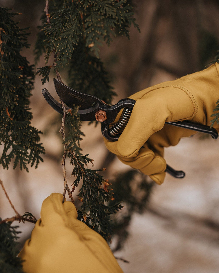 Garden & Foraging Tools