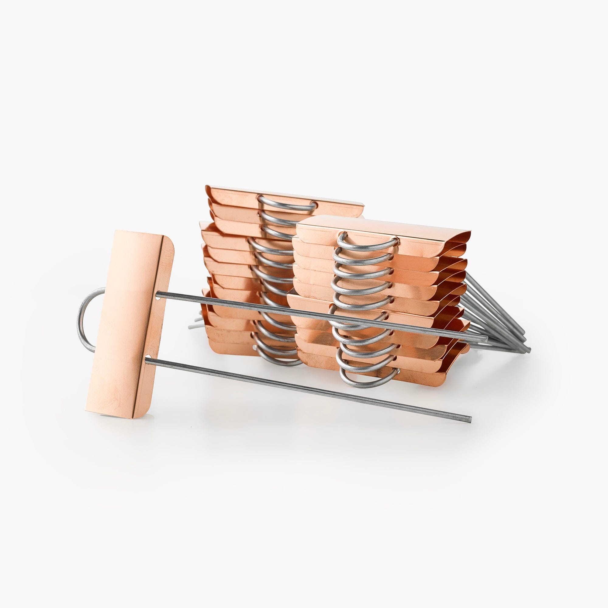 barebones Copper Plant Markers