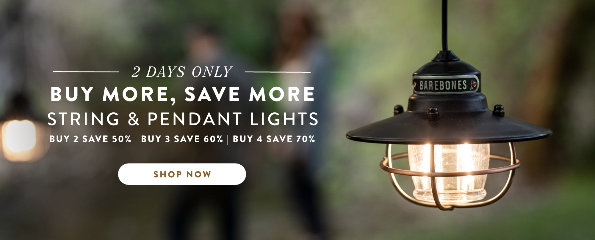 buy more save more string and pendant lights