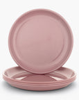 Rolled Enamelware Plate Set