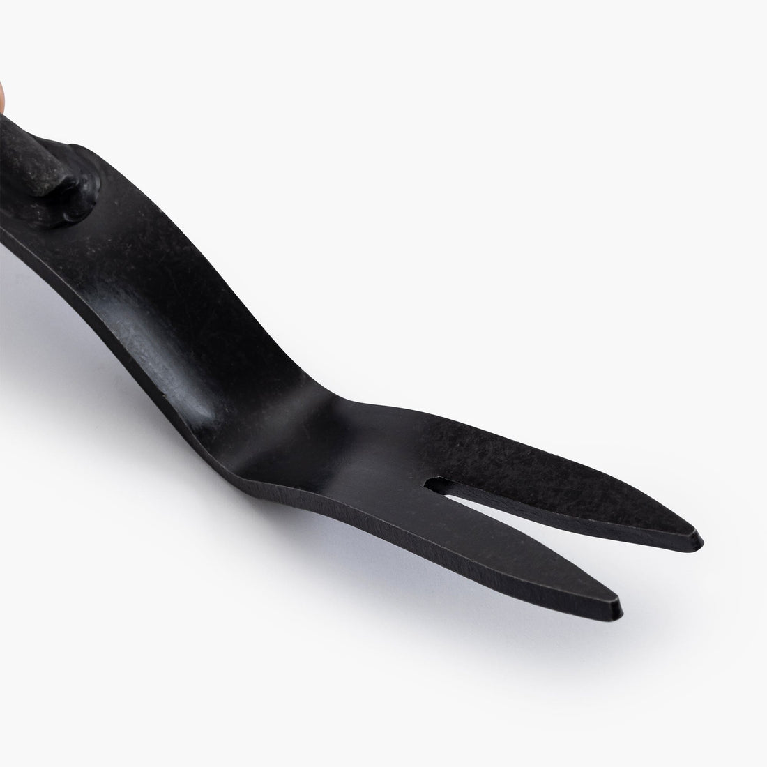 one of the colored fork|TikTok Search