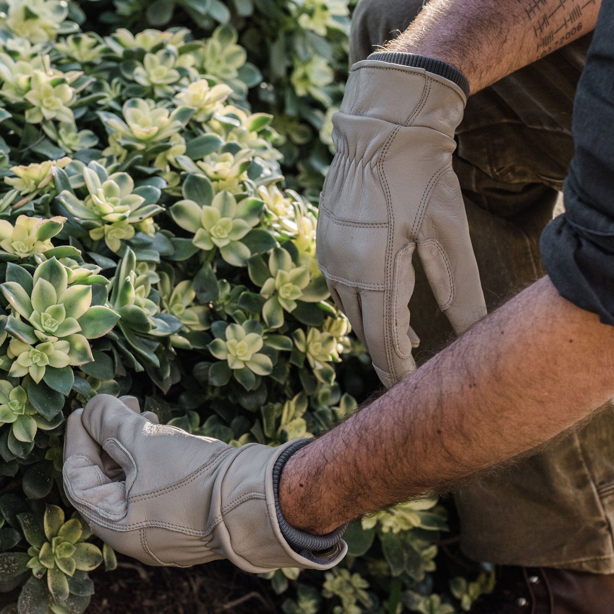 barebones gardening gloves Barebones Kunar Utility Glove