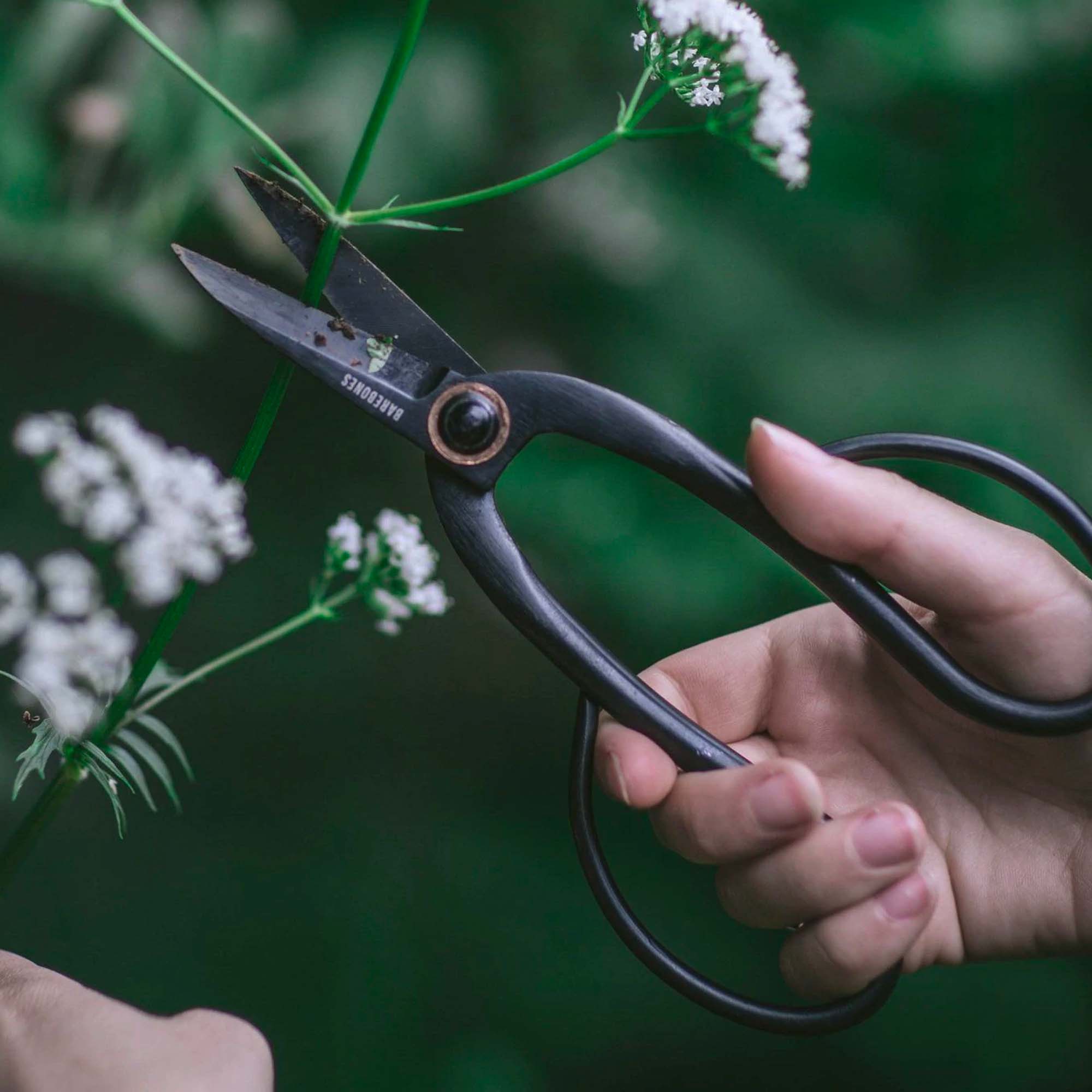 Barebones Living Artisan Pruning & Trimming Shears - Thumbnail 5