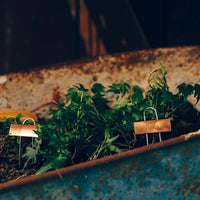 Copper Plant Markers