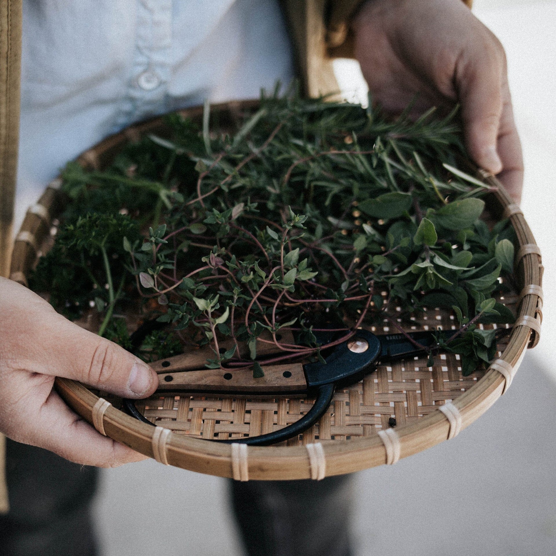Barebones Walnut Garden Scissors