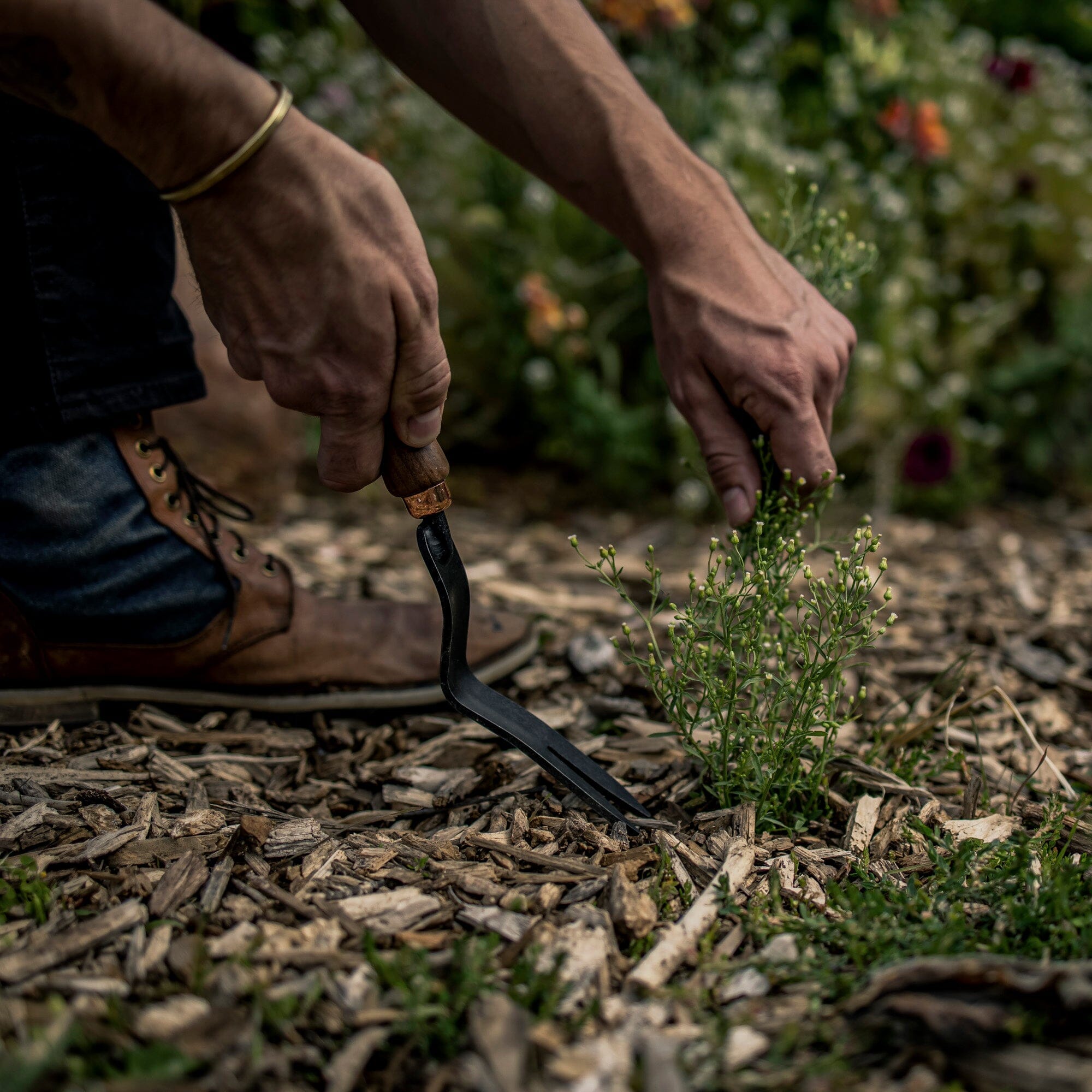 Dandelion weeding fork top