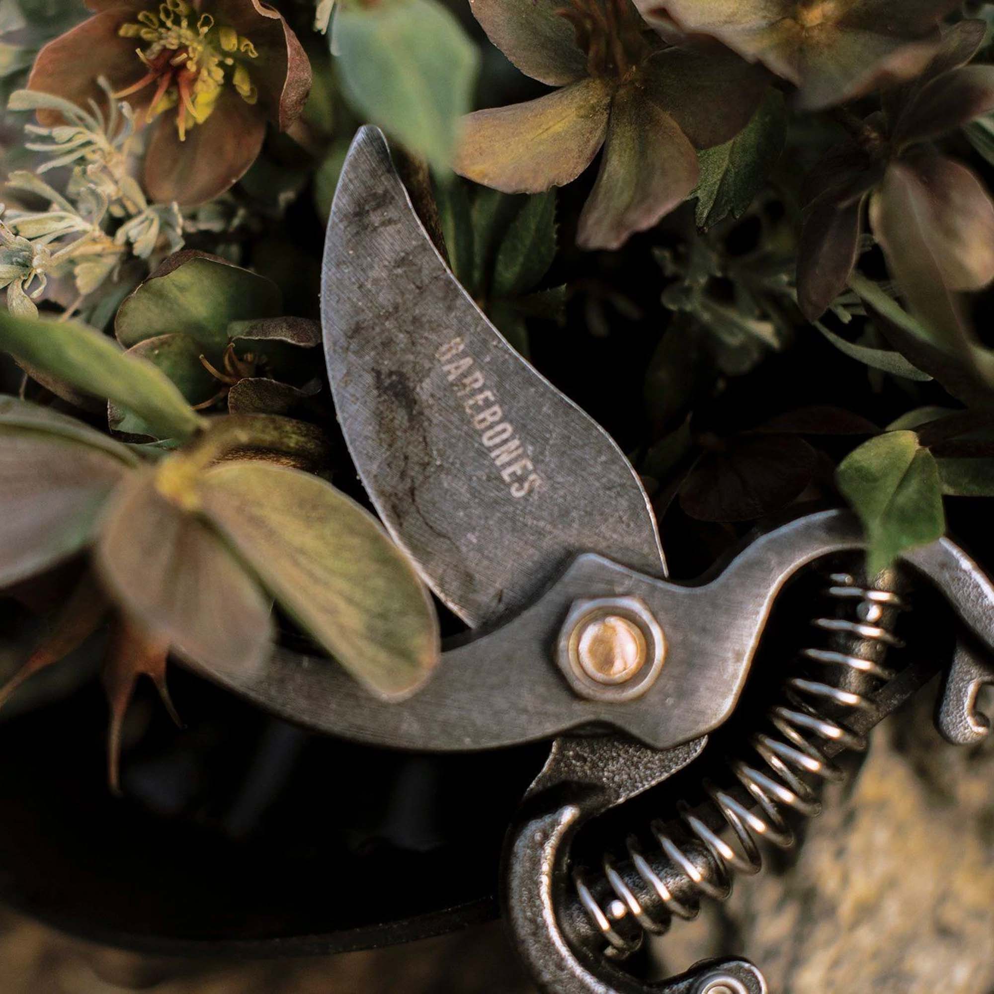 barebones living small garden scissors Barebones Pruner